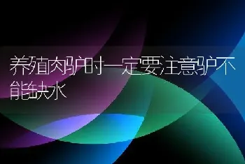 养殖肉驴时一定要注意驴不能缺水