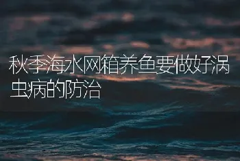 秋季海水网箱养鱼要做好涡虫病的防治