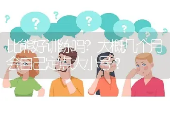 比熊好训练吗?大概几个月会自己定点大小号？