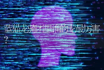 狗狗干呕发出咔咔的声音像反胃一样怎么办？