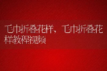 毛巾折叠花样，毛巾折叠花样教程视频