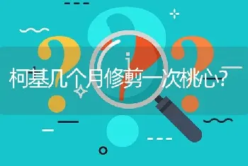 柯基几个月修剪一次桃心？