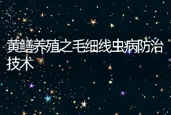 黄鳝养殖之毛细线虫病防治技术