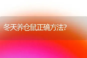 冬天养仓鼠正确方法？