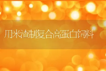 用米渣制复合高蛋白饲料