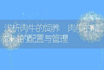 浅析肉牛的饲养肉牛的精饲料的配置与管理