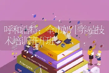 呼和浩特：全市奶牛养殖技术培训班开班