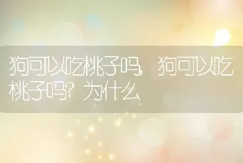 狗可以吃桃子吗，狗可以吃桃子吗？为什么