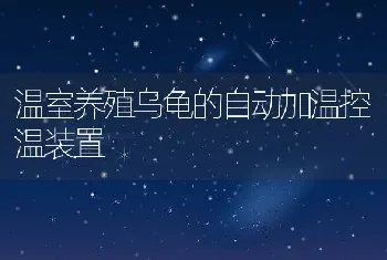 温室养殖乌龟的自动加温控温装置