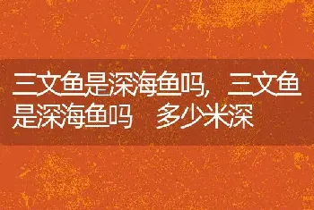 三文鱼是深海鱼吗，三文鱼是深海鱼吗 多少米深