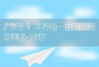 2019年养殖一亩田泥鳅能赚多少钱？