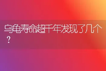 乌龟寿命超千年发现了几个？