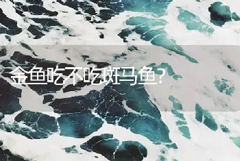 金鱼吃不吃斑马鱼？