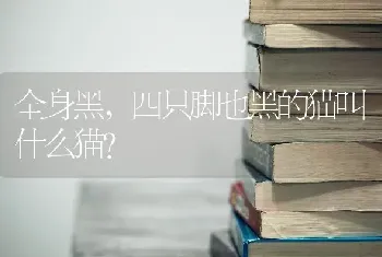 全身黑，四只脚也黑的猫叫什么猫？