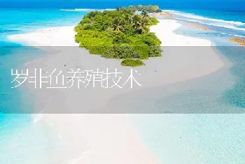 罗非鱼养殖技术