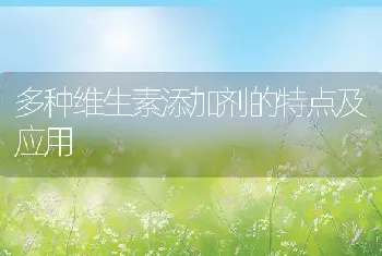 多种维生素添加剂的特点及应用