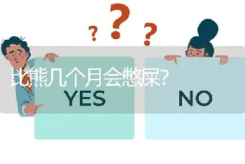 比熊几个月会憋屎？