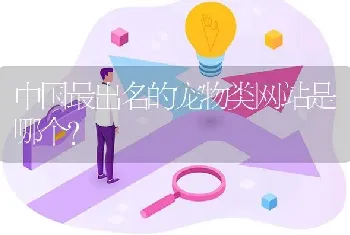 中国最出名的宠物类网站是哪个？