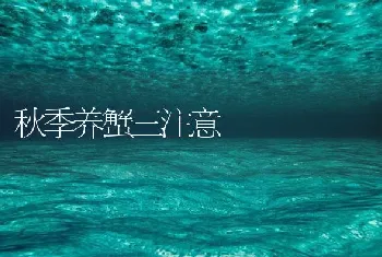 秋季养蟹三注意