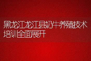 黑龙江龙江县奶牛养殖技术培训全面展开