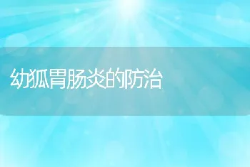 黄鳝庭院养殖技术