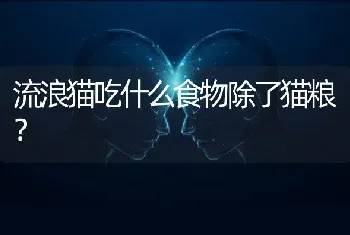 金吉拉最重多少斤？