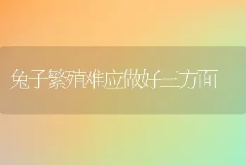 兔子繁殖难应做好三方面