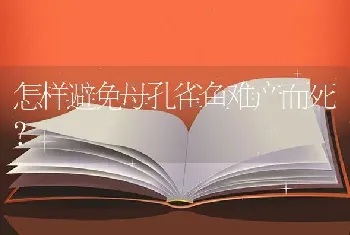 怎样避免母孔雀鱼难产而死？