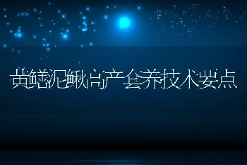 黄鳝泥鳅高产套养技术要点