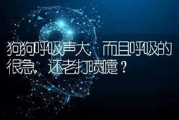 狗狗呼吸声大,而且呼吸的很急,还老打喷嚏？