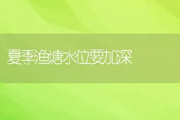 养猪人为什么要用高昂的教槽料？