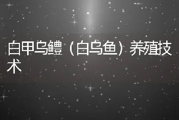 绿色鳖用饲料添加剂