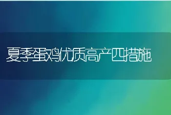 夏季蛋鸡优质高产四措施