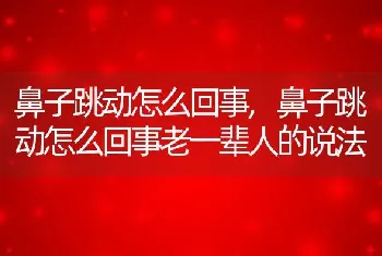 鼻子跳动怎么回事，鼻子跳动怎么回事老一辈人的说法