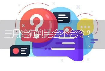 三月给狗剃毛会不会冷？