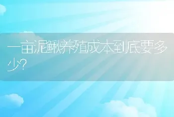 一亩泥鳅养殖成本到底要多少？