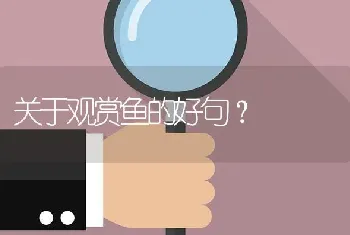 关于观赏鱼的好句？