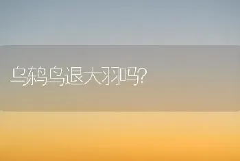 乌鸫鸟退大羽吗？