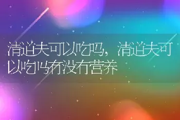 清道夫可以吃吗，清道夫可以吃吗有没有营养