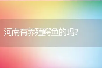 河南有养殖鳄鱼的吗？