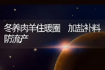 冬养肉羊住暖圈加盐补料防流产