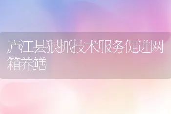 庐江县狠抓技术服务促进网箱养鳝