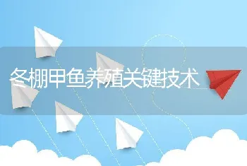 冬棚甲鱼养殖关键技术