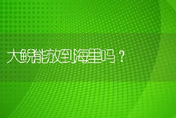 大鲵能放到海里吗？