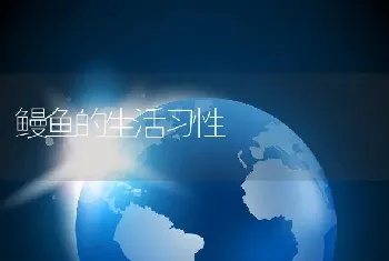 鳗鱼的生活习性