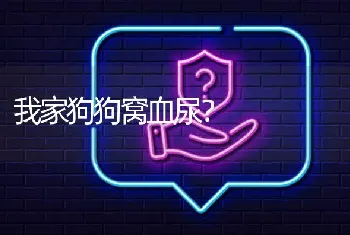 我家狗狗窝血尿？