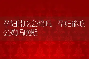 孕妇能吃公鸡吗，孕妇能吃公鸡吗晚期