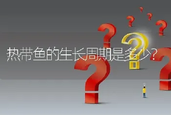 热带鱼的生长周期是多少？