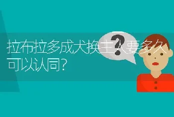 拉布拉多成犬换主人要多久可以认同？