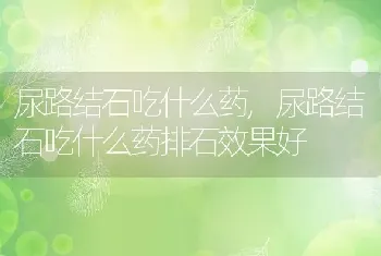 尿路结石吃什么药，尿路结石吃什么药排石效果好